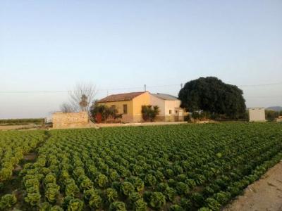 Annonce Vente Maison Orihuela