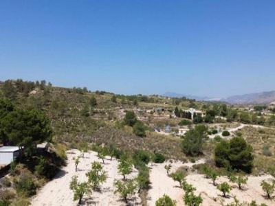 Acheter Maison Hondon-de-los-frailes rgion ALICANTE