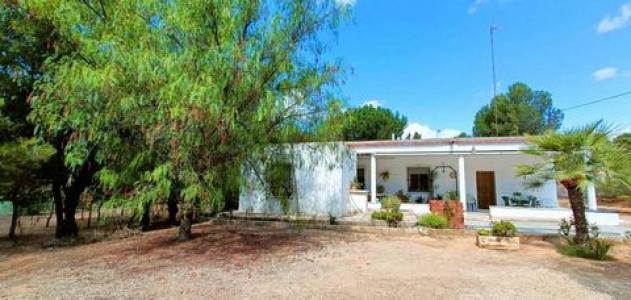 Acheter Maison Hondon-de-las-nieves