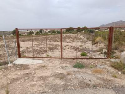 Annonce Vente Terrain Murcia