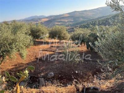 Annonce Vente Terrain Periana