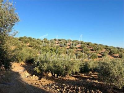 Acheter Terrain Periana rgion MALAGA