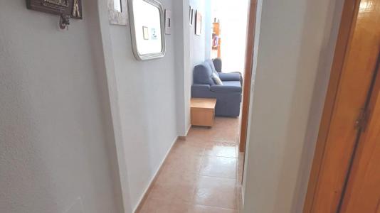 Acheter Appartement Torrevieja rgion ALICANTE