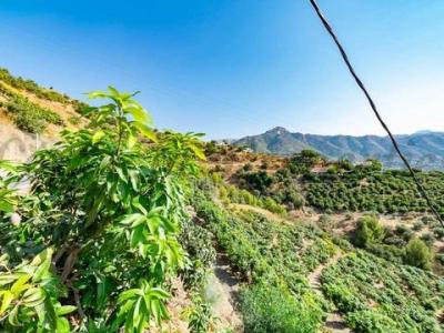 Acheter Terrain Torrox rgion MALAGA