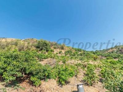 Vente Terrain Torrox  MA en Espagne