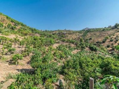 Annonce Vente Terrain Torrox