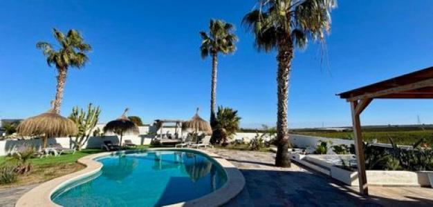 Acheter Maison 300 m2 San-miguel-de-salinas