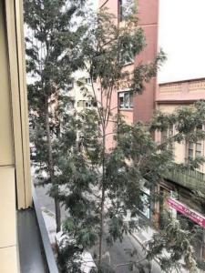 Louer Appartement Las-palmas-de-gran-canaria rgion LAS-PALMAS