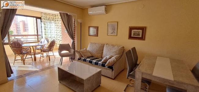 Annonce Location Appartement Benidorm