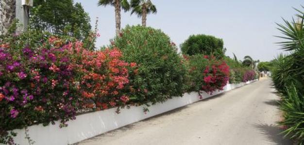 Vente Maison Dolores  A en Espagne