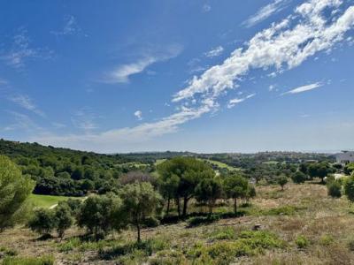 Annonce Vente Terrain San-roque