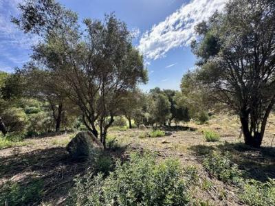 Acheter Terrain 3455 m2 San-roque