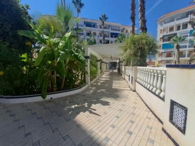 Acheter Appartement La-mata