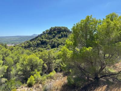 Annonce Vente Terrain Javea
