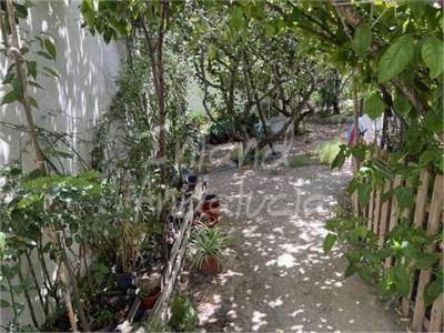 Annonce Vente Terrain Tozar