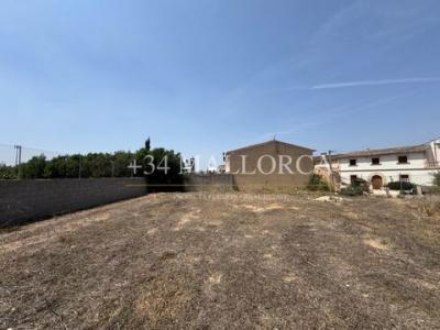 Acheter Terrain Algaida rgion ALMERIA