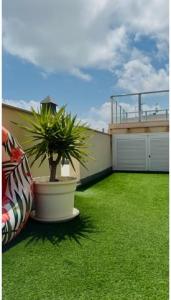Acheter Appartement 75 m2 Torrevieja