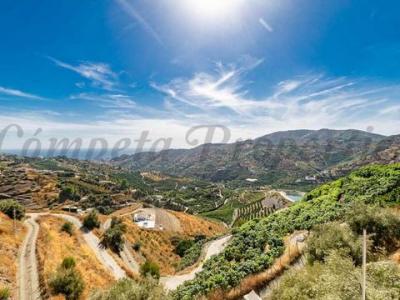 Acheter Maison Torrox rgion MALAGA