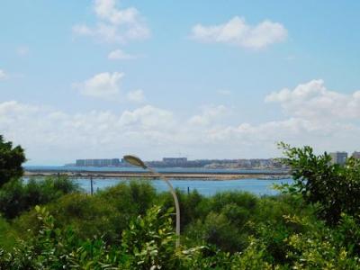 Acheter Appartement Torrevieja rgion ALICANTE