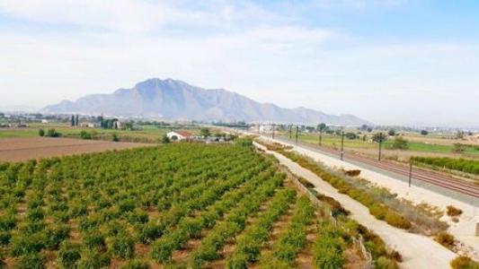 Annonce Vente Maison Callosa-de-segura