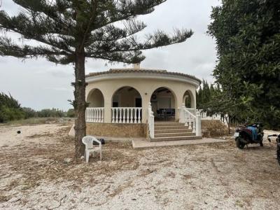 Acheter Maison 160 m2 Daya-vieja