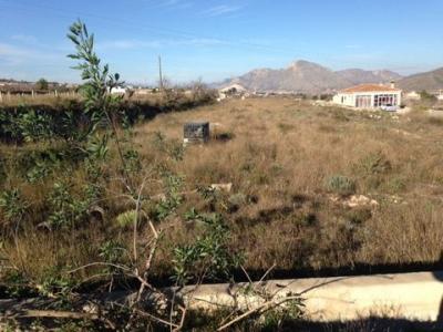 Annonce Vente Maison Hondon-de-los-frailes