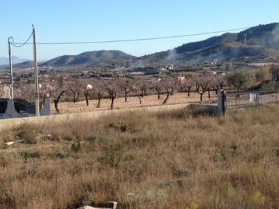 Acheter Maison Hondon-de-los-frailes rgion ALICANTE