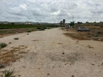 Acheter Local commercial 140 m2 Orihuela
