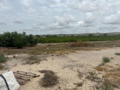 Acheter Local commercial Orihuela rgion ALICANTE