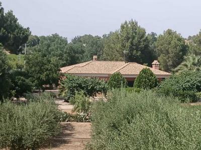 Annonce Vente Maison Cehegin