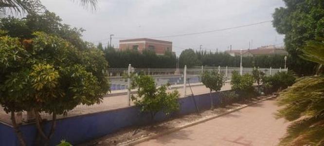 Acheter Maison 800 m2 El-raal
