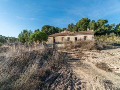 Acheter Terrain 395 m2 Pilar-de-la-horadada