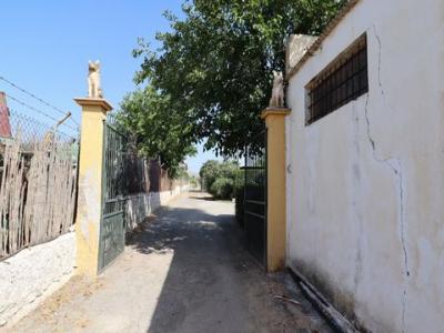 Acheter Maison 806 m2 Sangonera-la-seca