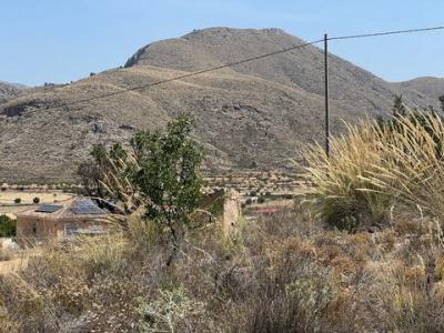 Vente Terrain Barbarroja  A en Espagne