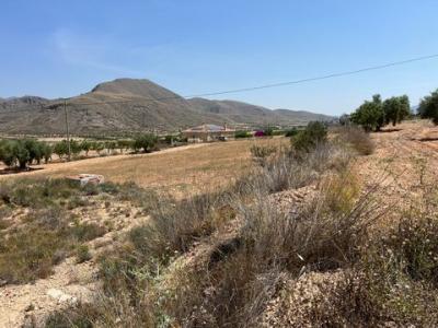 Annonce Vente Terrain Barbarroja