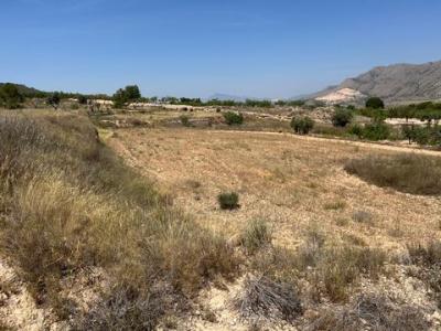 Acheter Terrain Barbarroja rgion ALICANTE