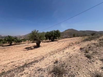 Vente Terrain Barbarroja  A en Espagne