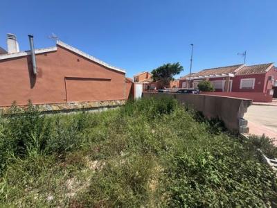 Acheter Terrain 160 m2 Daya-nueva