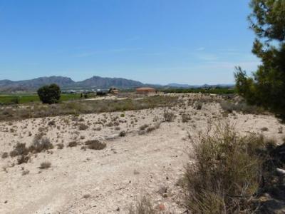 Acheter Terrain 29998 m2 Fortuna