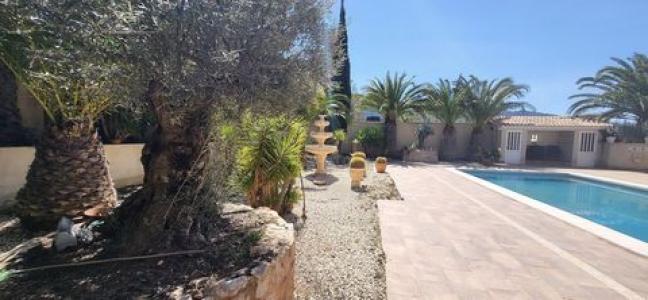 Acheter Maison 363 m2 Hondon-de-las-nieves