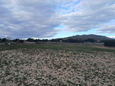 Vente Terrain Yecla  MU en Espagne
