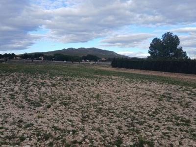 Annonce Vente Terrain Yecla