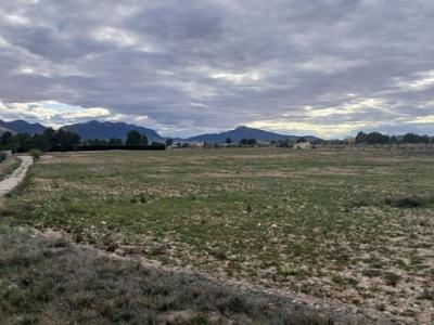 Acheter Terrain 20000 m2 Yecla