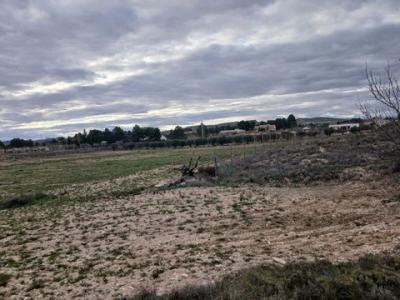Acheter Terrain Yecla rgion MURCIA