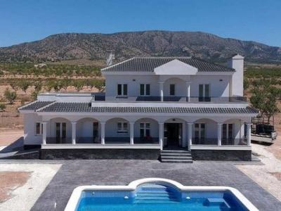 Acheter Maison 245 m2 Pinoso