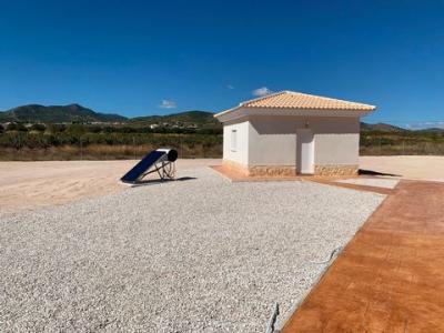 Acheter Maison 225 m2 Pinoso