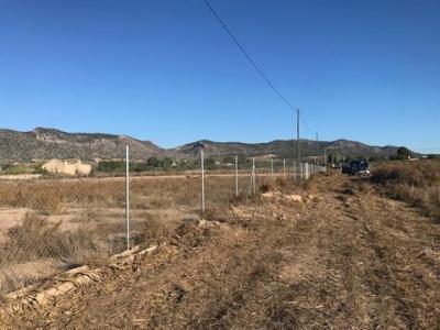 Acheter Terrain 11300 m2 Salinas