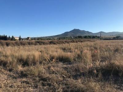 Acheter Terrain Salinas rgion ALICANTE