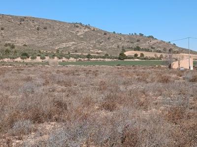 Vente Terrain Yecla  MU en Espagne