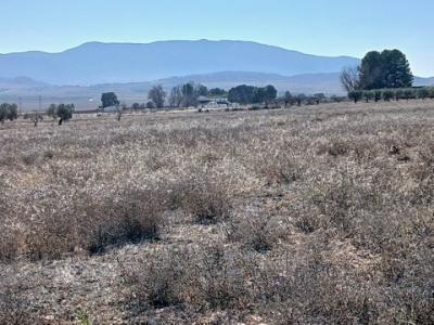 Annonce Vente Terrain Yecla